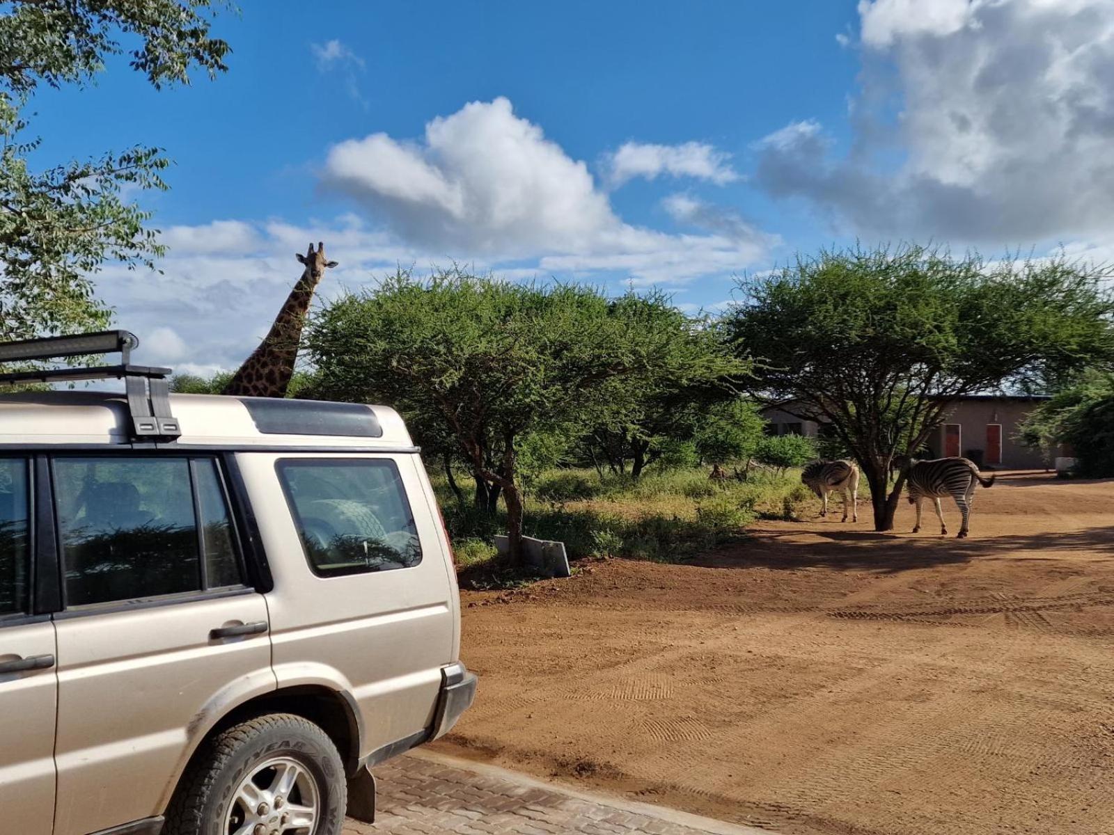 Thandolwami Bushlodge & Spa Hoedspruit Kültér fotó
