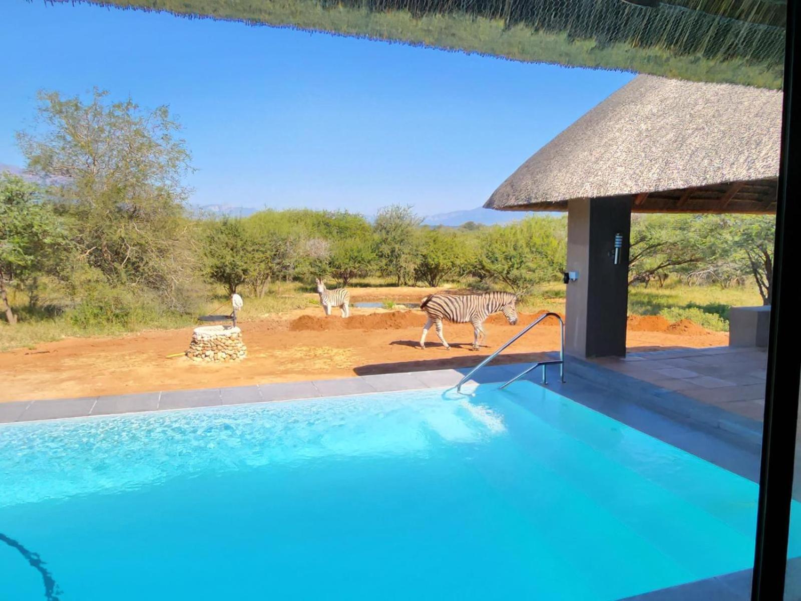 Thandolwami Bushlodge & Spa Hoedspruit Kültér fotó