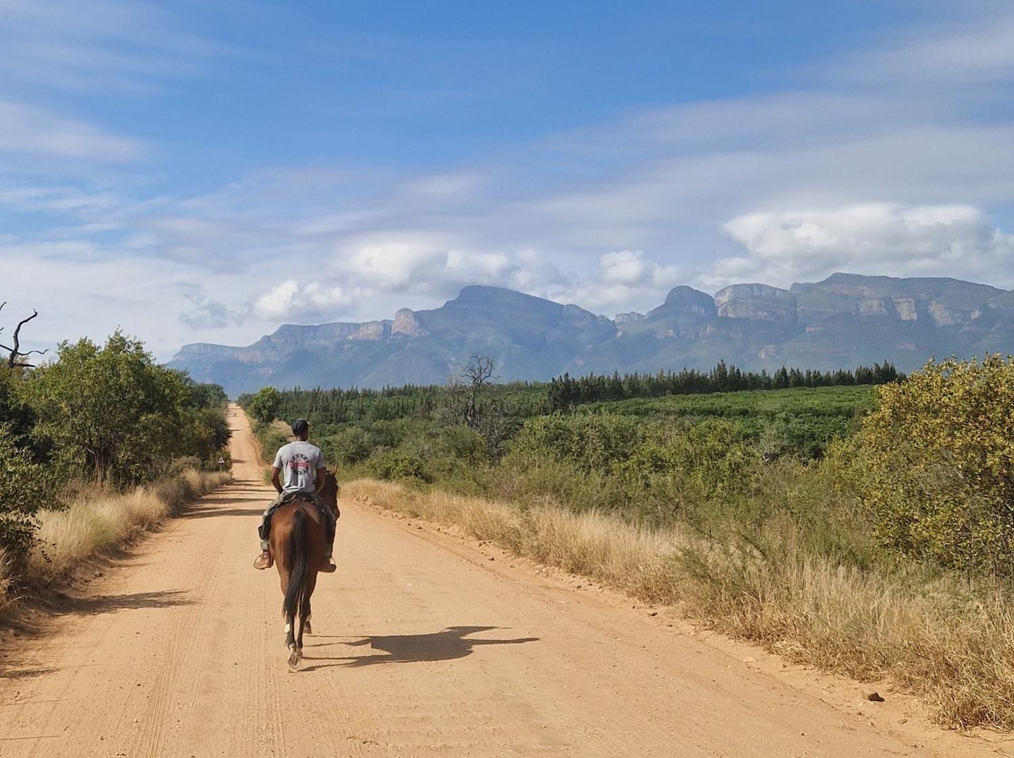 Thandolwami Bushlodge & Spa Hoedspruit Kültér fotó